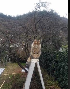 史上最激烈“冠军夜”全场回顾,感受巅峰对决!,冠军之夜活动地址