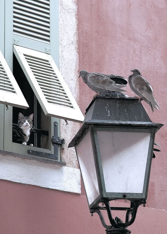 开云官方网页登录-西班牙青年军打出控球风暴，西班牙青年联赛ds