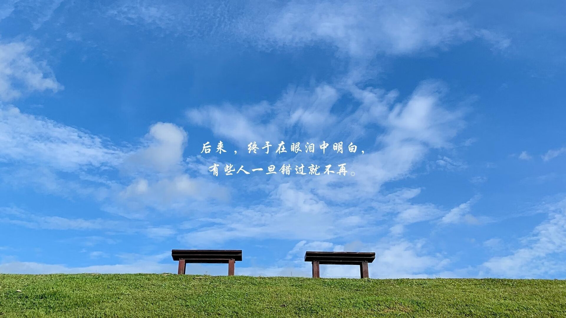 开云网页版登录入口-青少年“梦想基地”在杭州揭牌，打造青训与创新结合的体育新热点