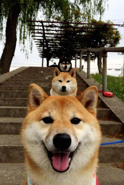 开云体育-T1选手体能训练成果显著，t1t2训练赛有啥区别