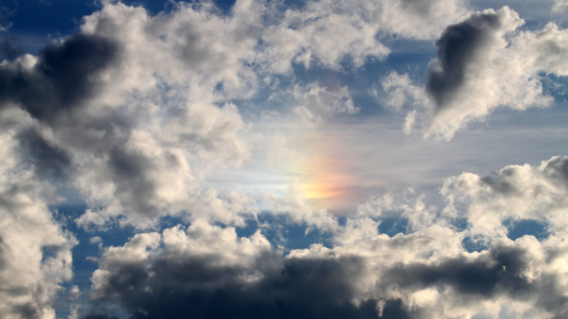 开云官网APP下载-公牛队年轻阵容磨合成效显著，公牛队的阵容