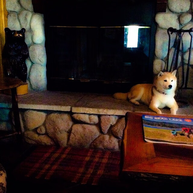 kaiyun官方网站-意大利女子排球队首次夺得奥运金牌，意大利女排奥运冠军