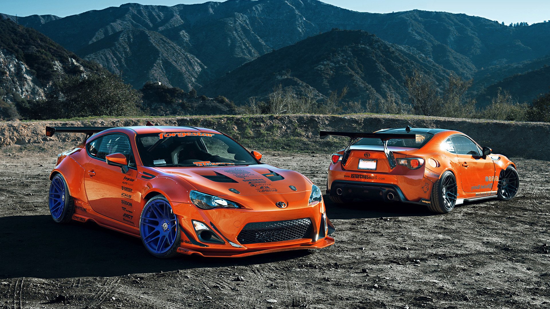 开云官网APP下载-爱尔兰队在比赛中表现出令人瞩目的实力，爱尔兰篮球水平