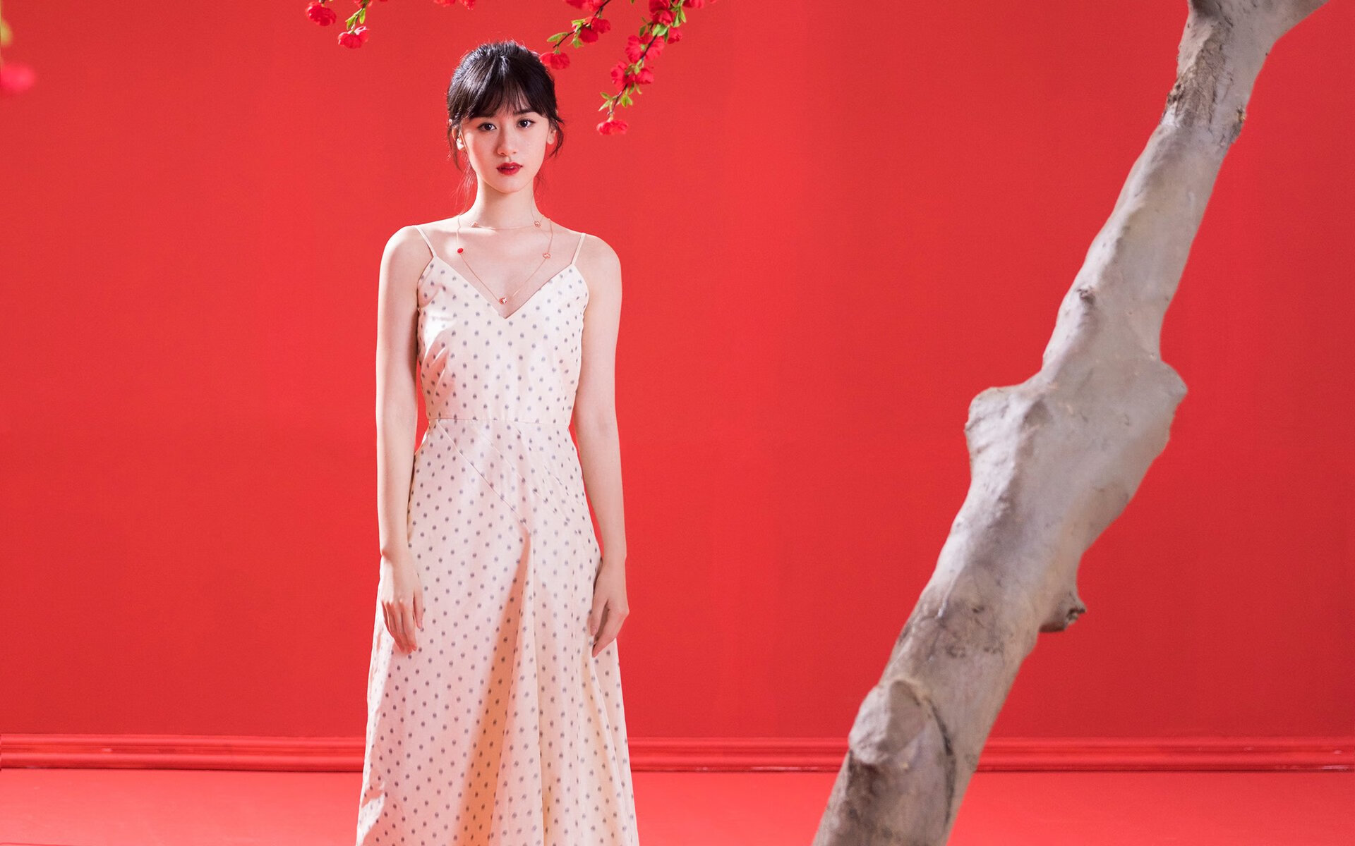 维达德卡萨布兰卡球员获选国际赛事最佳球员,卡萨布兰卡 简介