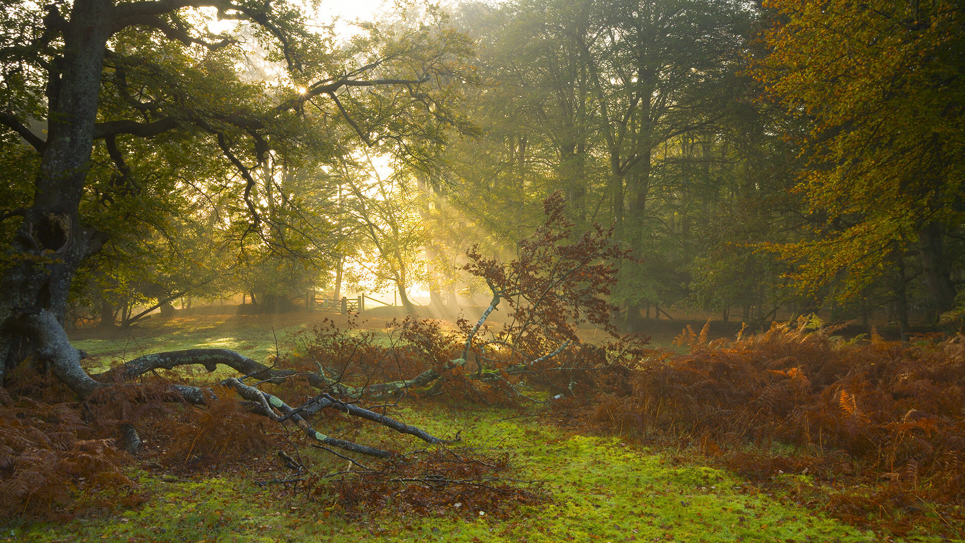 体育产业市场调研分析,体育产业调查