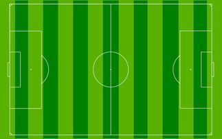 开云中国-国足主场比赛战术布置与得分模型关联，国足阵容战术