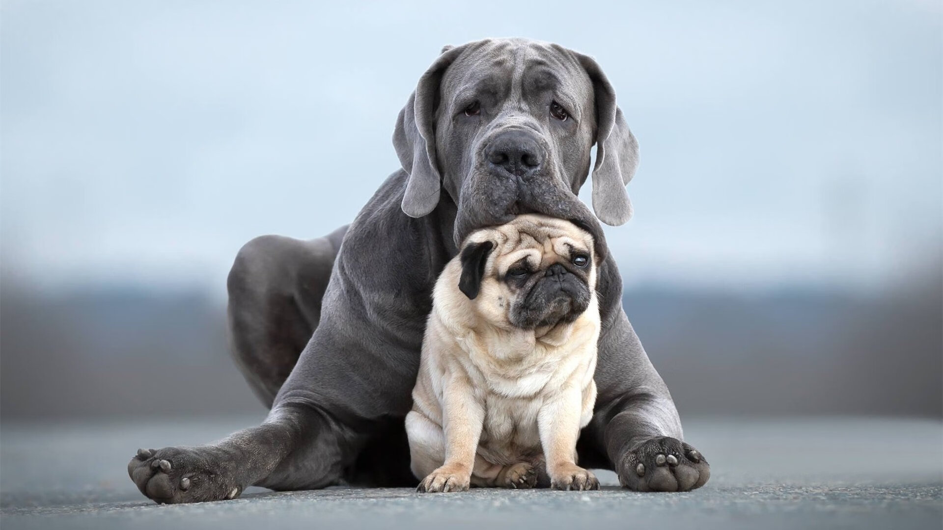 Chinese Taipei战术全景：如何通过灵活站位取得优势