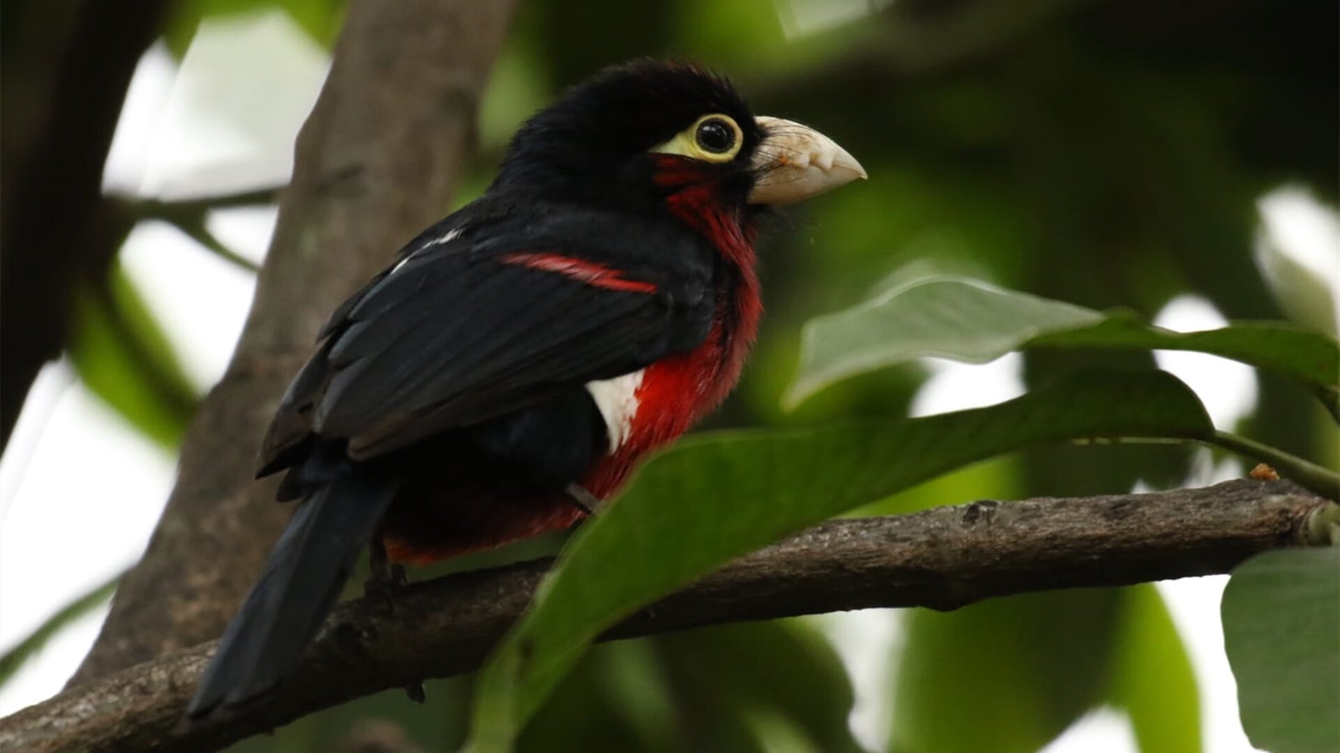 体育新闻中心构建多渠道体育赛事内容分发体系,体育赛事报道怎样写