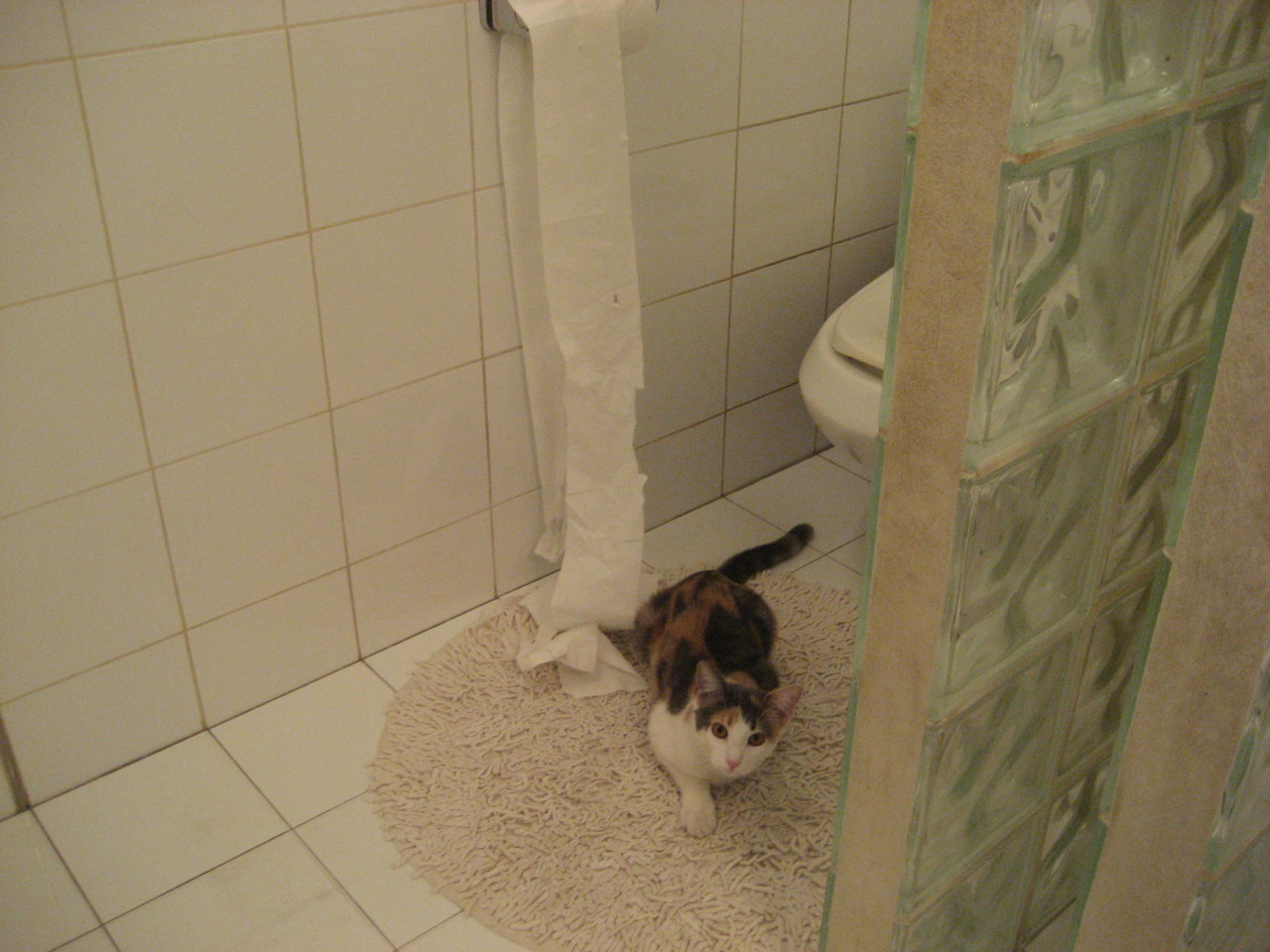 开云体育-奥预赛中国女足平局 球员技术仍有待磨练，中国女足奥预赛规则