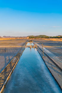 开云体育APP下载-生态+赛事，兴隆湖引领水上马拉松潮流，兴隆湖有水了吗