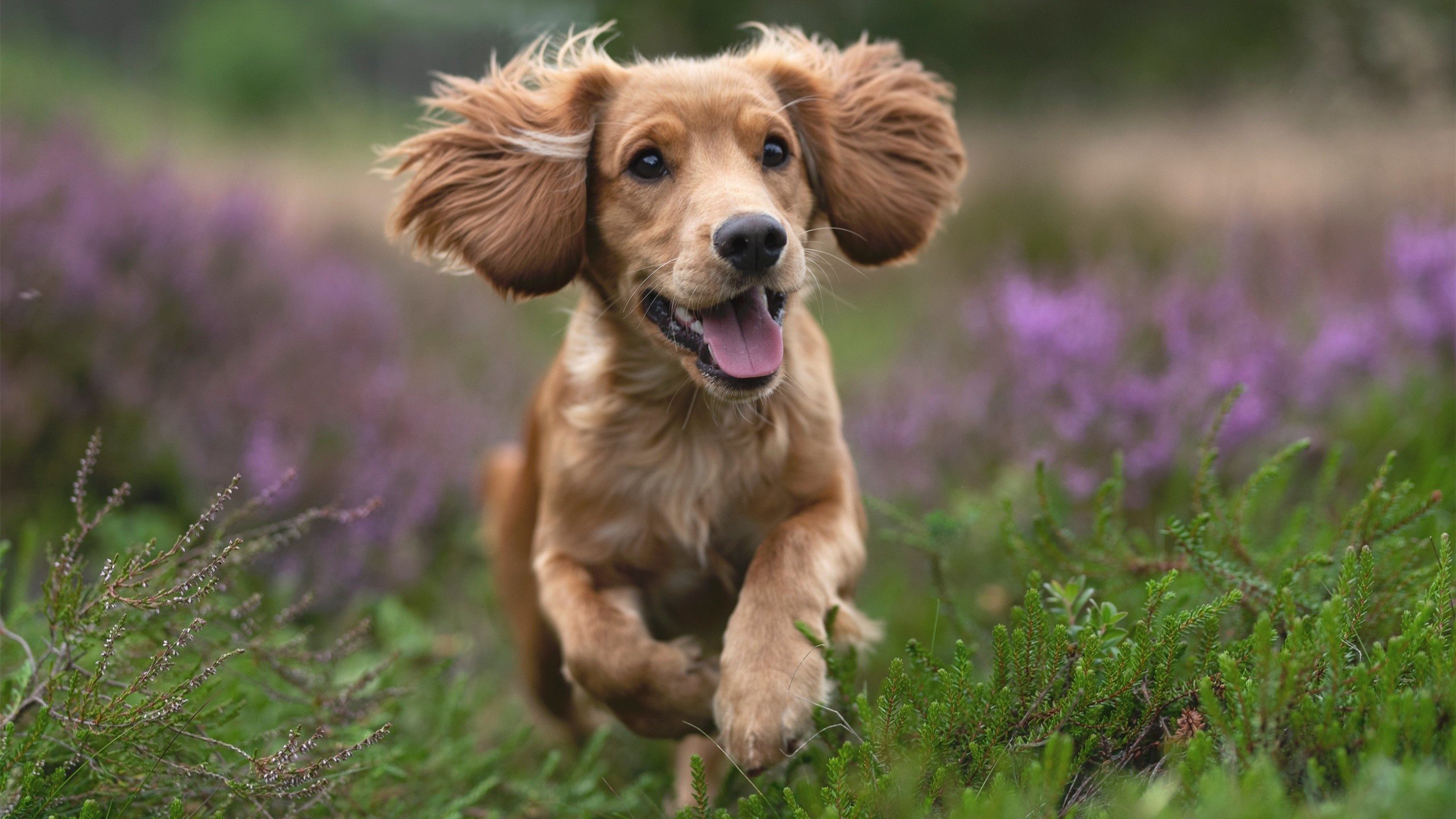 节奏感是否影响外线球员跑位空切的效率,节奏型球员