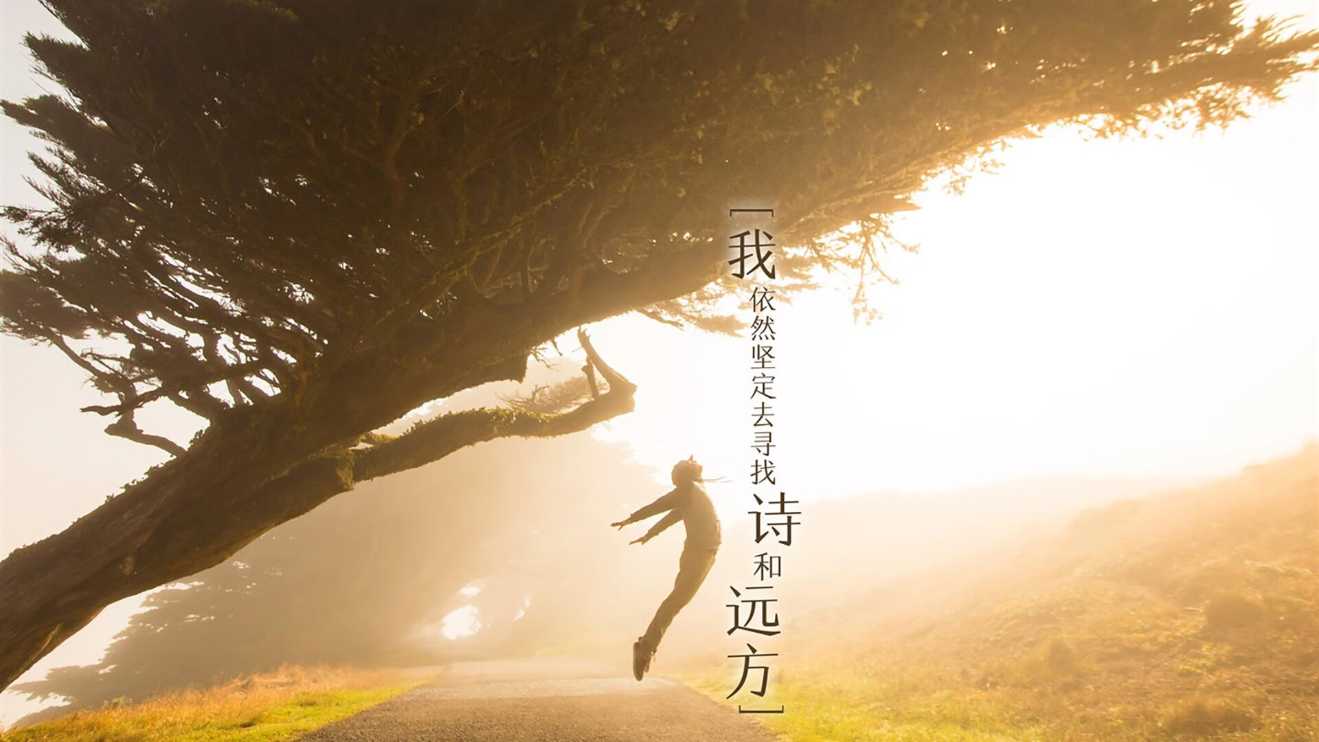 赛事运营团队高效配合确保各个环节无缝衔接顺利推进,赛事合作方案