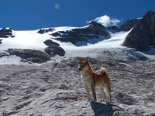 开云·Kaiyun网页版-青少年篮球营开展模拟新闻发布训练提升表达能力，青少年篮球赛事推广