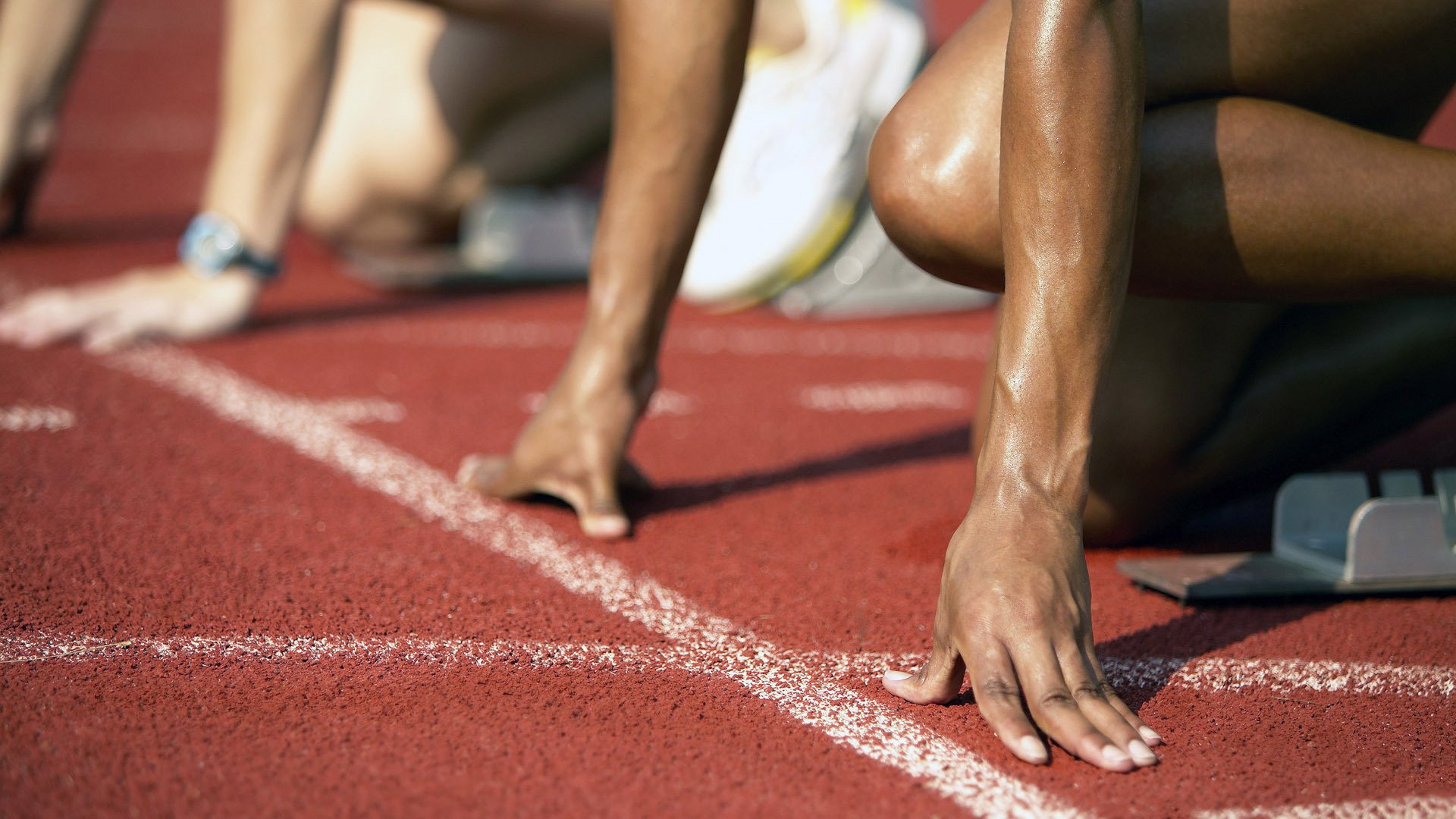 体育新闻中心协同高校开展体育新闻融合教学改革，体育教学新闻稿